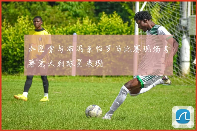 加图索与布冯亲临罗马比赛现场考察意大利球员表现