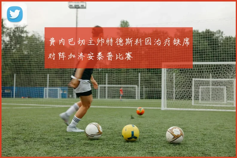 费内巴切主帅特德斯科因治疗缺席对阵加济安泰普比赛